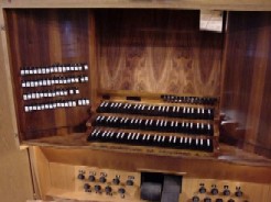 Nikolaus Orgel